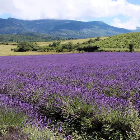 Le Cigalou - Drome Provencale 別荘 *